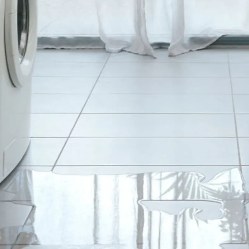 Appliance Leak Cleanup in LaBelle, FL